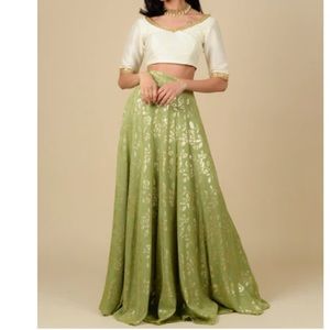 The Saree Room- Green Iris Skirt